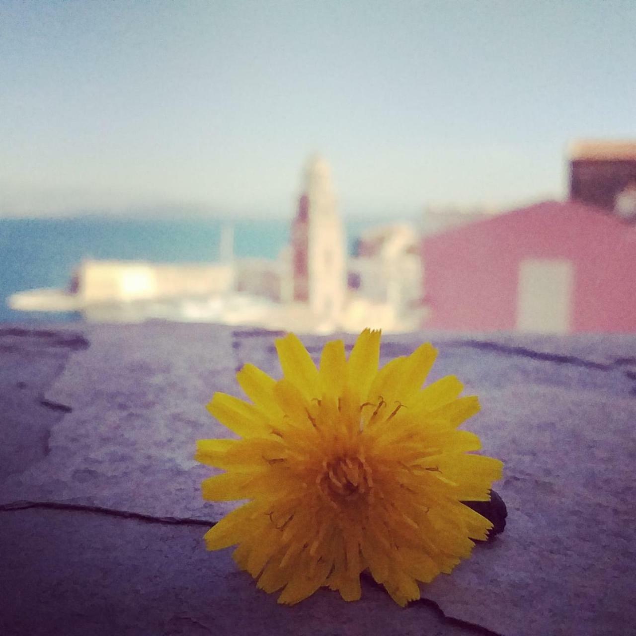 Bed and Breakfast Il Vecchio E Il Mare Гаета Екстер'єр фото